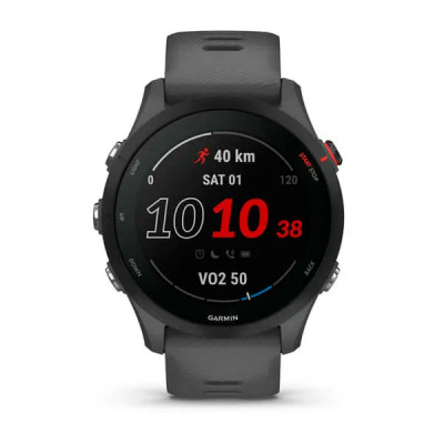 Смарт-часы Garmin Forerunner 255 Slate Grey