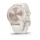 Смарт-годинник Garmin Vivomove Sport, Ivory