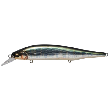 Воблер Megabass ITO SHINER WAGIN HASU II