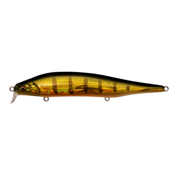 Воблер Megabass ITO SHINER SSR GG PERCH