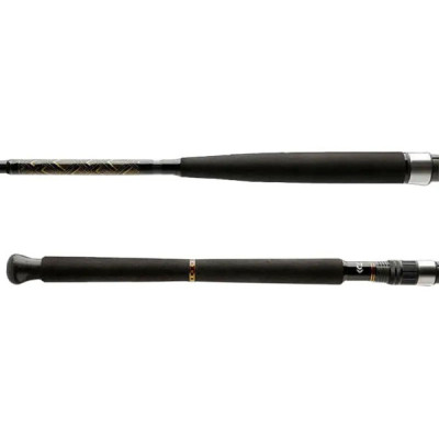 Морське вудилище Daiwa BG Boat 2.1м 150-400г