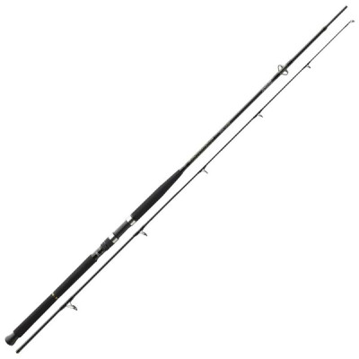 Морське вудилище Daiwa BG Boat 2.1м 150-400г