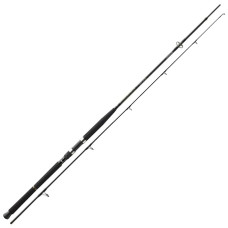 Морське вудилище Daiwa BG Boat 2.4м 150-400г