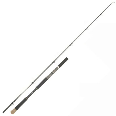 Спінінг Major Craft Days World Standart Pike DYC-79X/PC 2.36м 40-150г