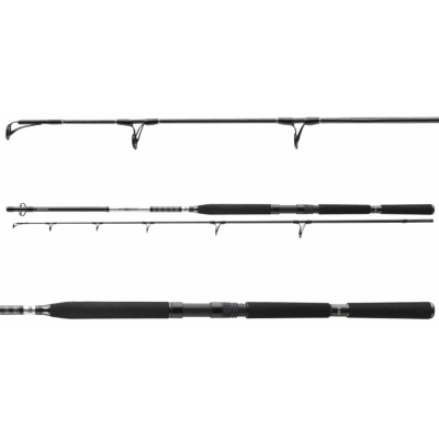 Морське вудилище Daiwa BG Popper 2.3м 40-150г