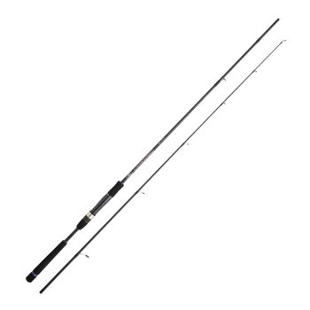 Спінінг Daiwa Crosscast Seabass 2.9м 14-42г