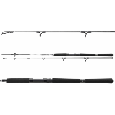 Морське вудилище Daiwa BG Offshore Boat 2.1м 150-400г