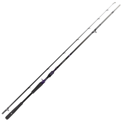 Кастингове вудилище Daiwa Prorex AGS Bait Heavy Target 2.13м 150г