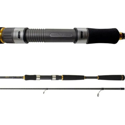 Спиннинг Daiwa Legalis Seabass 3.33м 28-84г