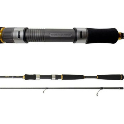 Спиннинг Daiwa Legalis Seabass LEGSB1002HXHFSAF 3.05м 14-56г