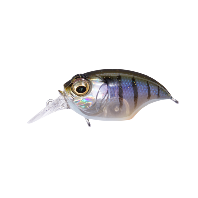 Воблер Megabass SR-X GRIFFON GILLKKO