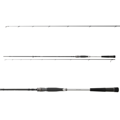 Спінінг Daiwa Morethan AGS Seatrout 3.1м 5-25г