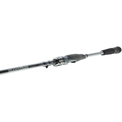 Спінінг Daiwa Morethan AGS Seatrout 3.1м 5-25г