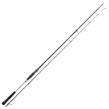 Спиннинг Daiwa Morethan AGS Seatrout 3.1м 5-25г