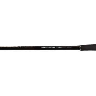 Спінінг Daiwa Morethan Wisemen 109M 3.28м 50г Спінінг Daiwa Morethan Wisemen 109M 3.28м 50г