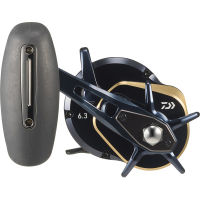Катушка Daiwa 25 Saltiga 10L