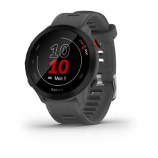 Смарт-часы Garmin Forerunner 55, Monterra Grey