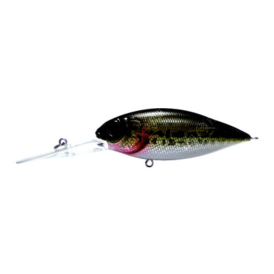 Воблер Megabass DEEP-X 300 PAGANI RAIGYO