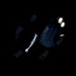 Перчатки MEGABASS Ti GLOVE BLACKxWHITE(XXL)