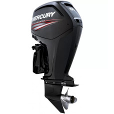 MERCURY F 100 EXLPT EFI