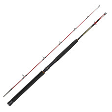 Спінінг Daiwa Seahunter Spin 2.13m 150-300g (B0000121500)
