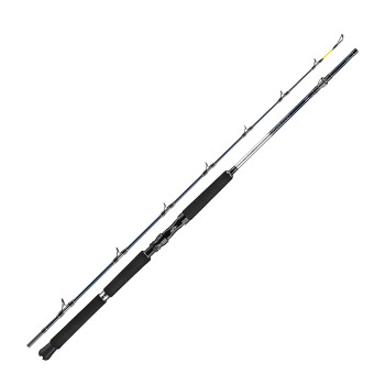 Морське вудлище Daiwa Leobritz Deepdrop 2.15m 200-650g (B0000375901)