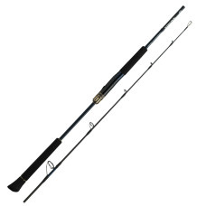 Спінінг Daiwa Saltiga J Expedition 50S-6 джиговое 1.52m (05804262)