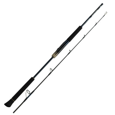 Спінінг Daiwa Saltiga J Expedition 50S-6 джиговое 1.52m (05804262)