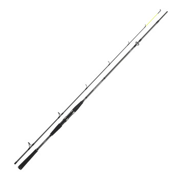 Спінінг Daiwa Seahunter X 2.70m 30-60g (11533-270)