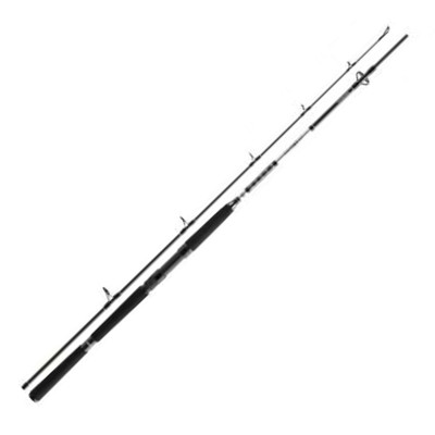 Спінінг Daiwa BG Offshore Boat 2.1m 150-400g (11928-211)