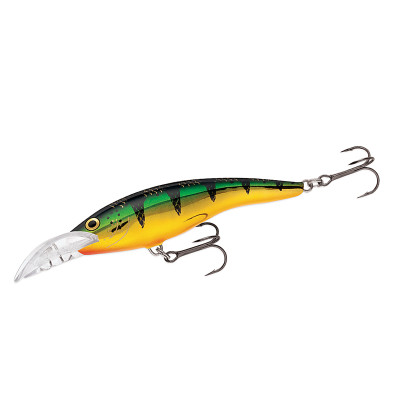 Воблер Rapala Scatter Rap Tail Dancer 90mm 13g #FLP (SCRTD09 FLP)