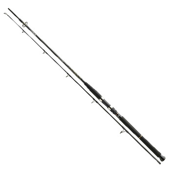 Спиннинг Daiwa BG Boat 2.10m 150-400g (11906-216)