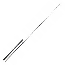 Морське вудлище Daiwa Saltiga Light Game 2.40m 40-110g (B0001933601)