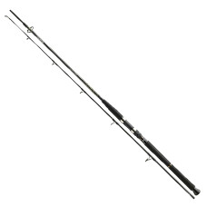 Спиннинг Daiwa BG Boat 2.40m 150-400g (11906-246)