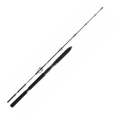 Спінінг Daiwa BG Jigger 1.70m 150-400g (11928-170)