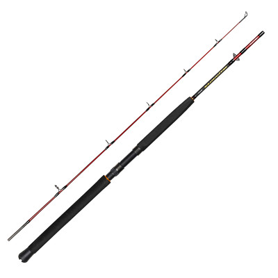 Спінінг Daiwa Seahunter Spin 2.13m 150-300g (B0000121500)