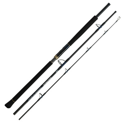 Спінінг Daiwa Saltiga C Expedition 82-10 2.49m MAX 200g (05804255)