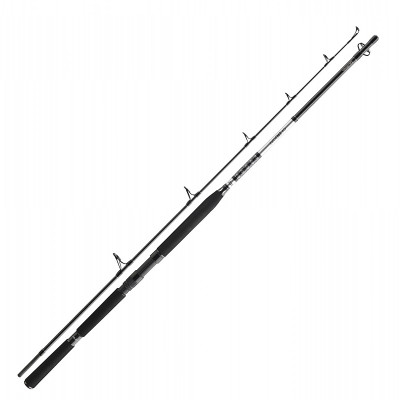 Спінінг Daiwa BG Popper 2.30m 40-150g (11928-230)