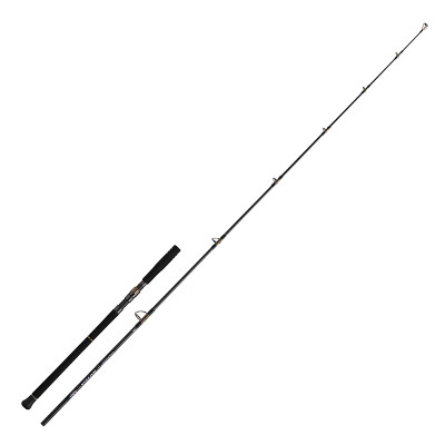 Спінінг Daiwa Saltiga C Bullswing 85-6 2.57m MAX 130g (05804282)