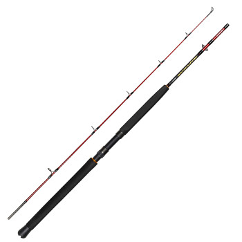 Спінінг Daiwa Seahunter Spin 1.83m 80-200g (A0020296300)