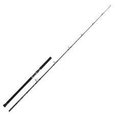 Спінінг Daiwa Saltiga C Dogfight 81-8 2.46m MAX 160g (05804242)